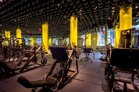 Tmpl gym - We offer: State-of-the-art cardio equipment, 20 tons of free-weights, Saltwater Pool + Aqua... 355 W 49th St, New York, NY 10019